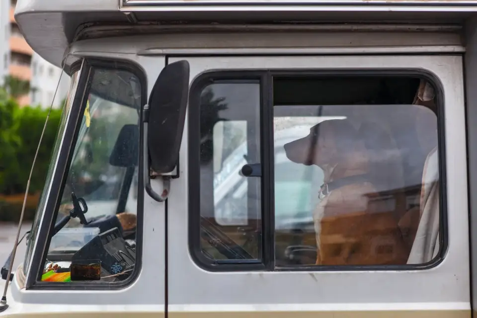 A covered dog crate secured on the floor of an RV during travel