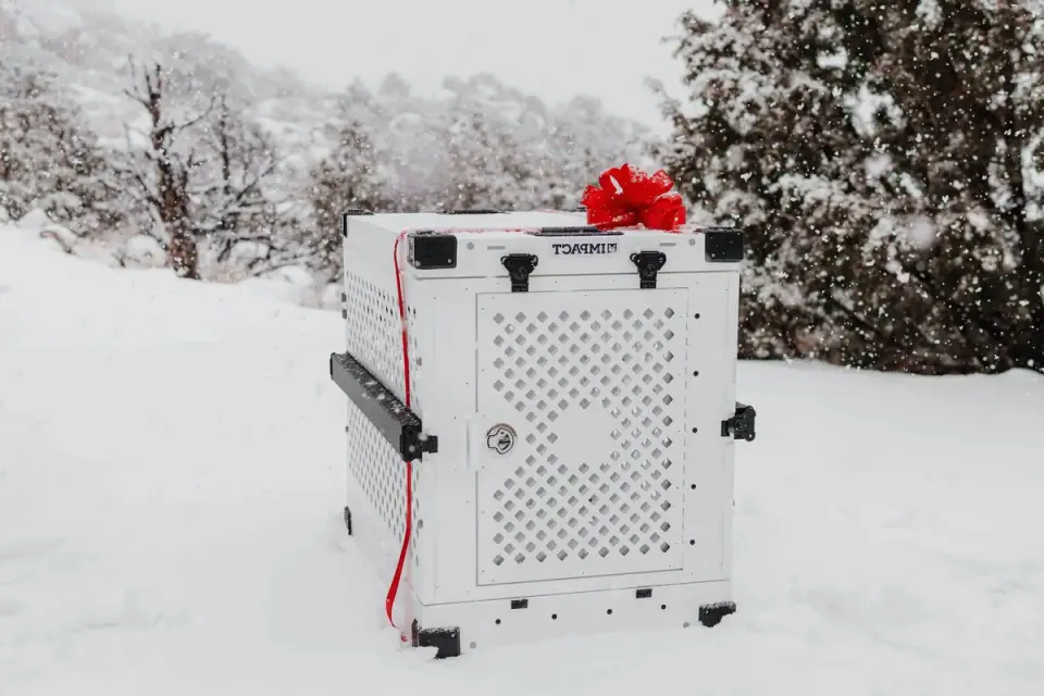 A dog crate secured with a seatbelt in the back seat of a car