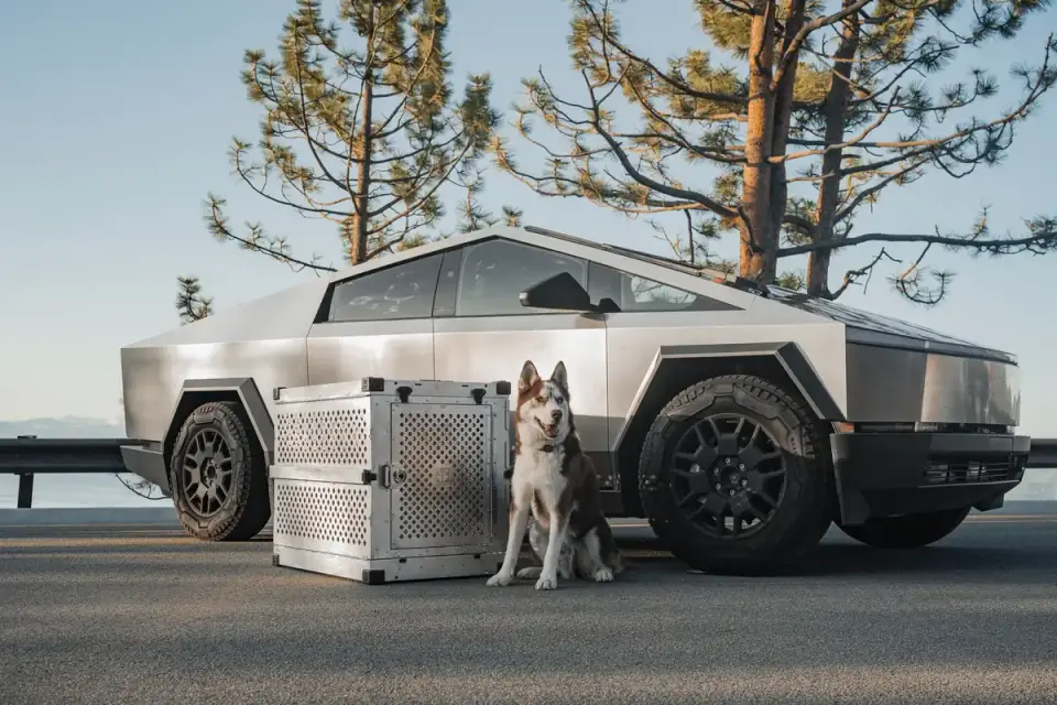 A dog crate strapped securely in the cargo area of an SUV