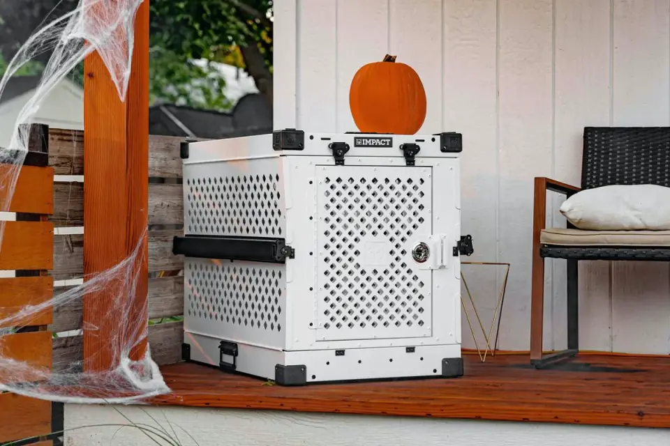 A dog crate strapped securely into the back seat of a car