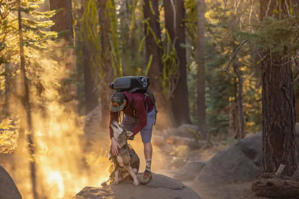 A dog drinking from a collapsible travel bowl on a sunny trail