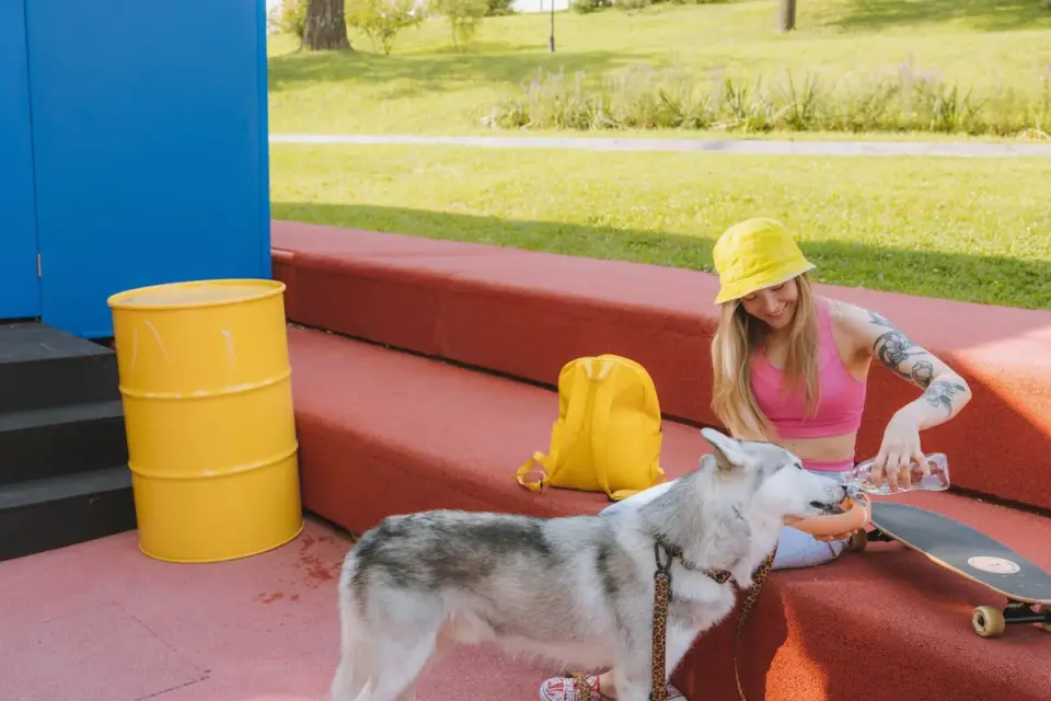 A dog drinking water from a portable bowl at an outdoor rest stop