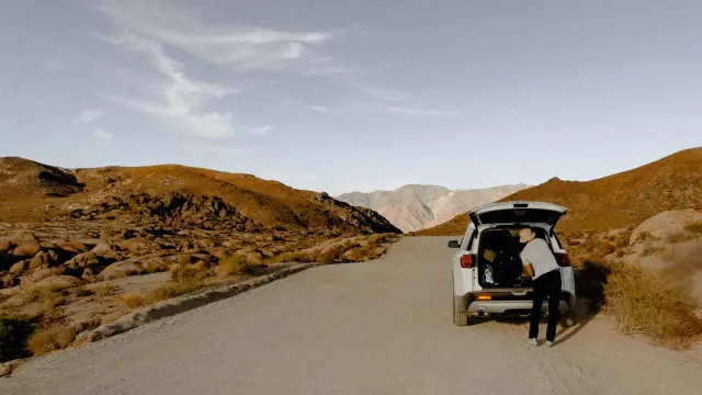 A dog eating from a collapsible travel bowl beside an open car door