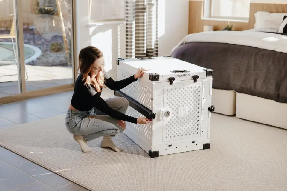 A dog eating a meal placed just inside an open travel crate