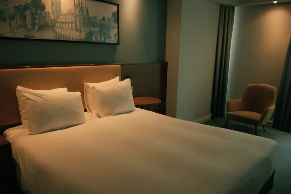 A dog lying relaxed on its own blanket inside an unfamiliar hotel room