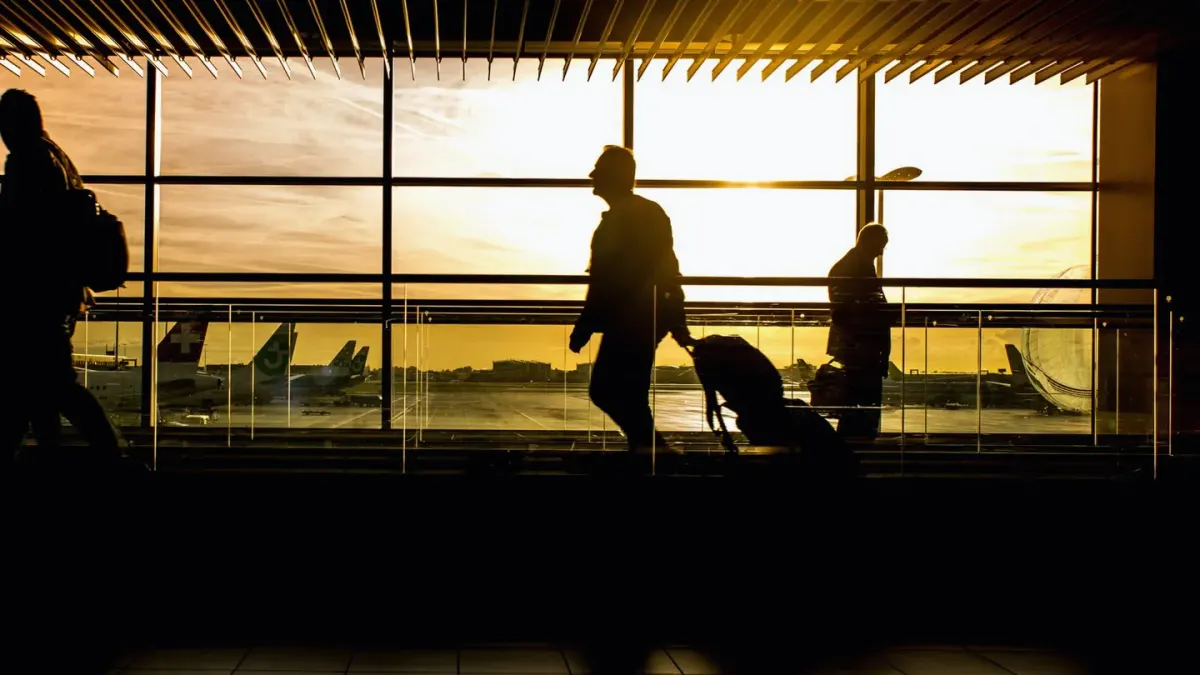 A dog on a leash lying calmly near a large airport terminal window