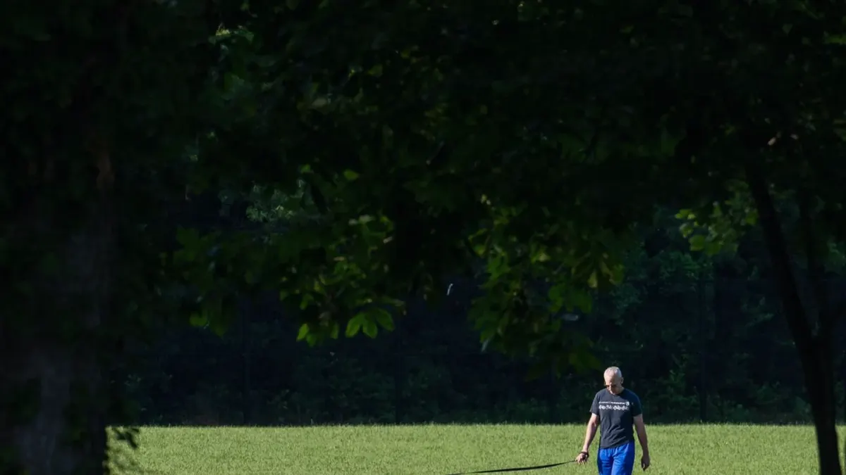 A dog on a short leash walking beside its owner through a campground loop
