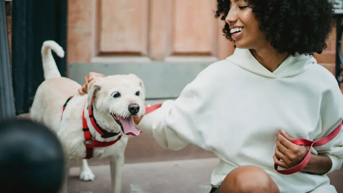 A dog owner walking their dog toward a veterinary clinic entrance