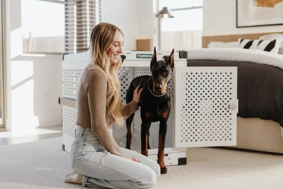 A dog resting calmly inside an open crate