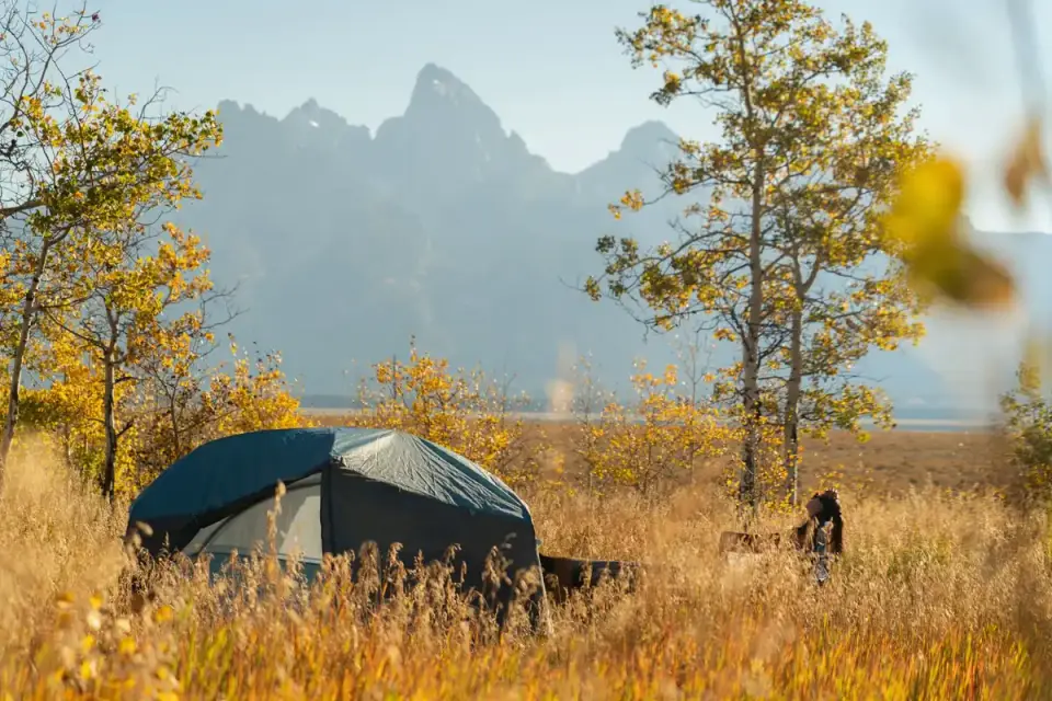 A dog resting just outside the door of a camping tent