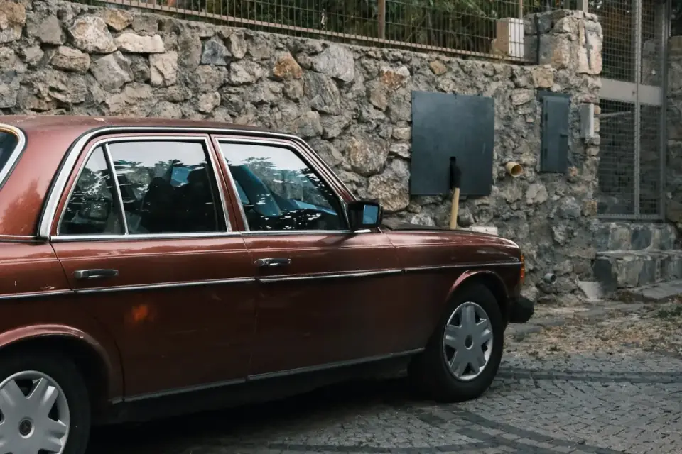 A dog standing hesitantly at the open door of a parked car