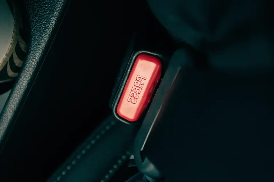 A dog wearing a car harness clipped into the rear seatbelt anchor