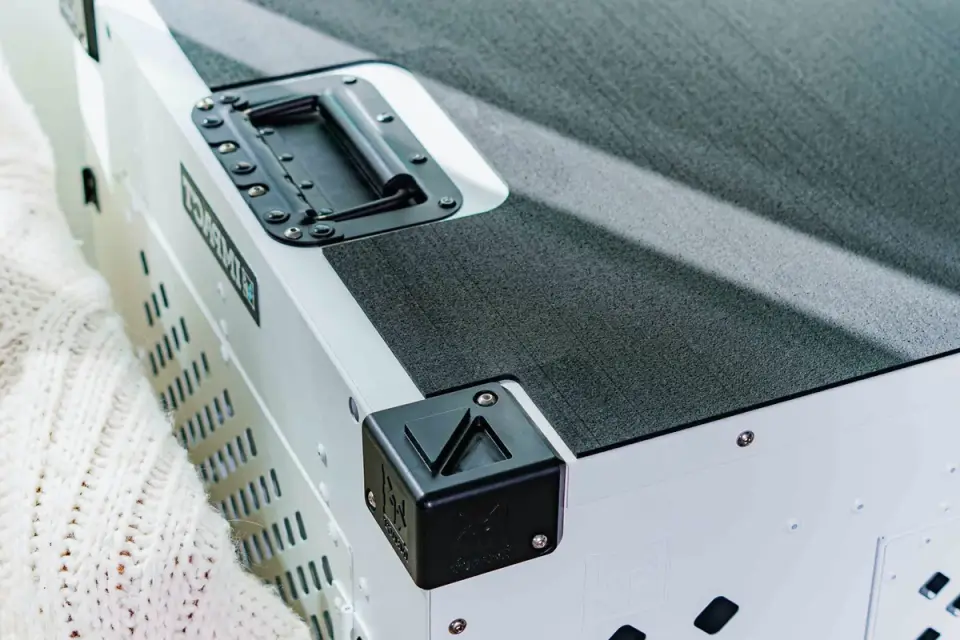 A travel crate secured with tie-down straps in an SUV cargo area