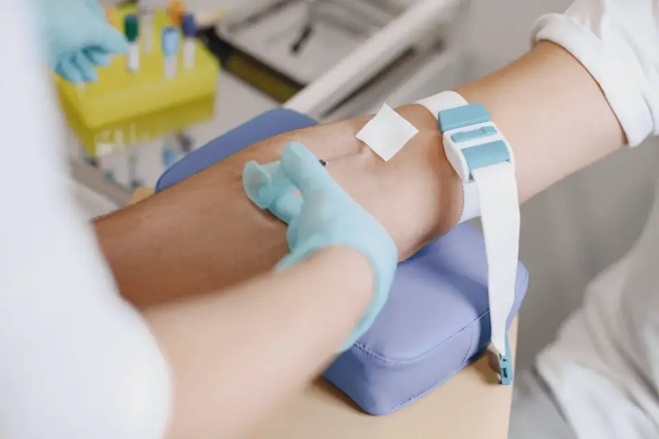 A veterinarian drawing a small blood sample from a dog&#x27;s front leg