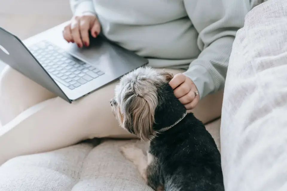 A woman entering pet information into a microchip registry website on a laptop