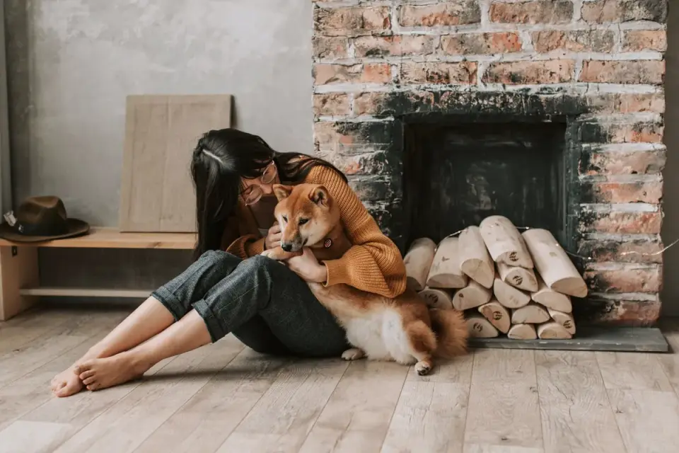 An owner sitting on the floor next to a dog that looks tense and alert