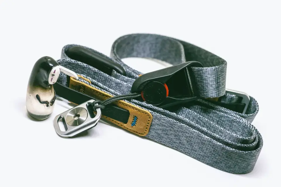 Close-up of a dog harness strap clipped into a car seat belt buckle