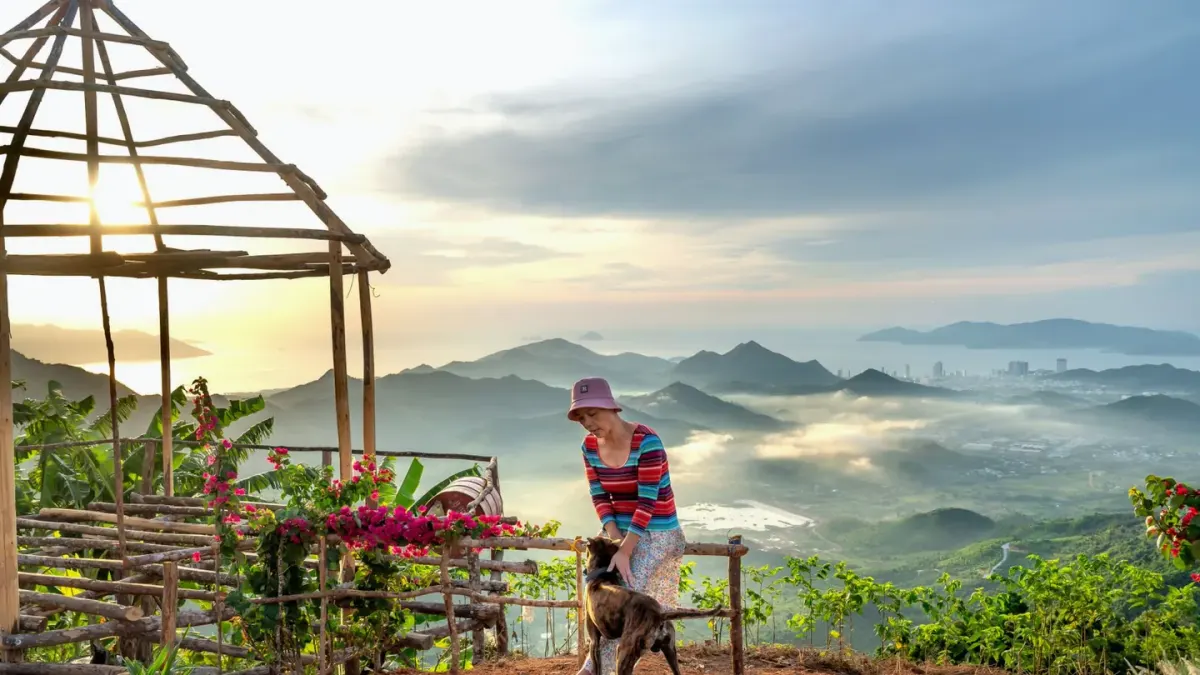 Dog at a viewpoint