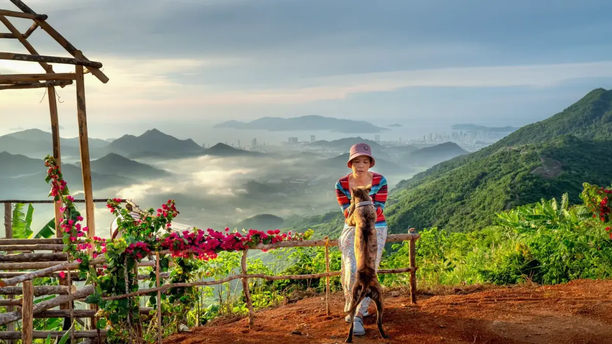 Dog at a viewpoint