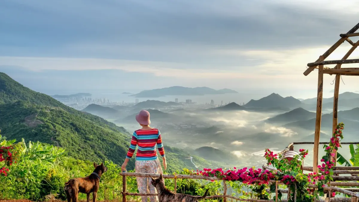 Dog at a viewpoint