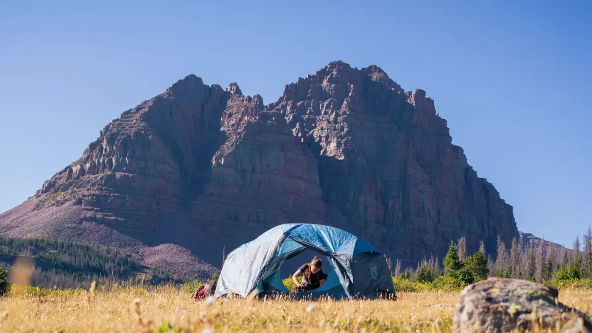 Dog camping with an owner