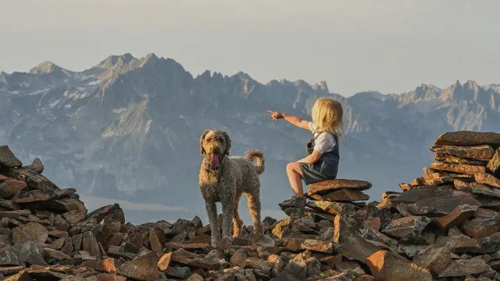 Dog hiking mountain trail