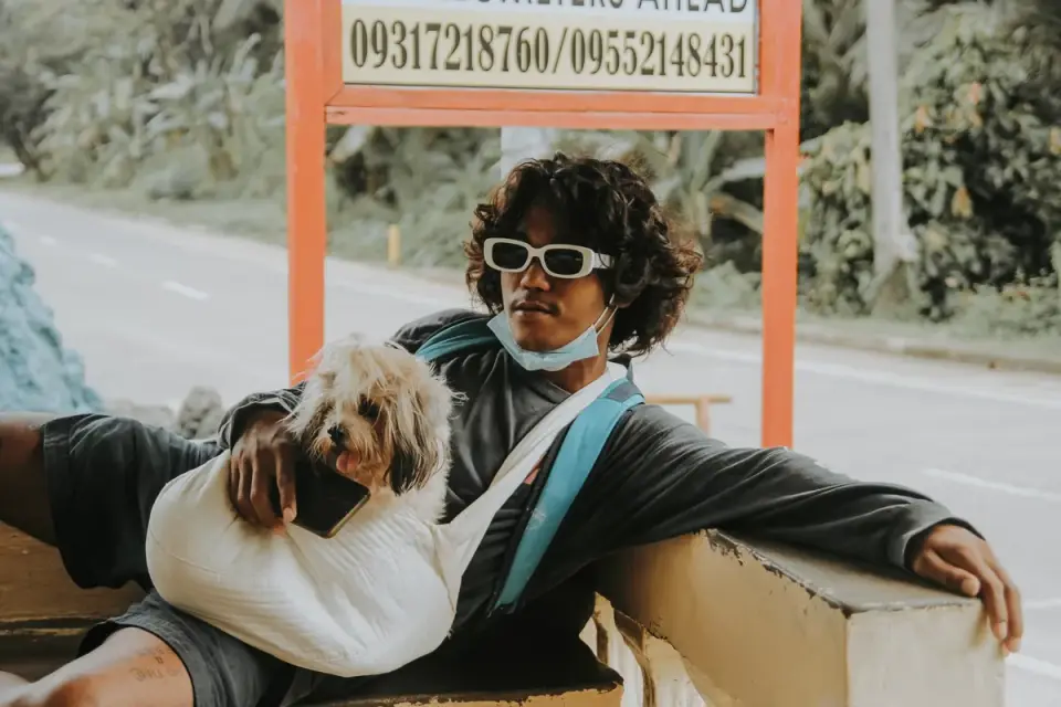 Dog in a carrier