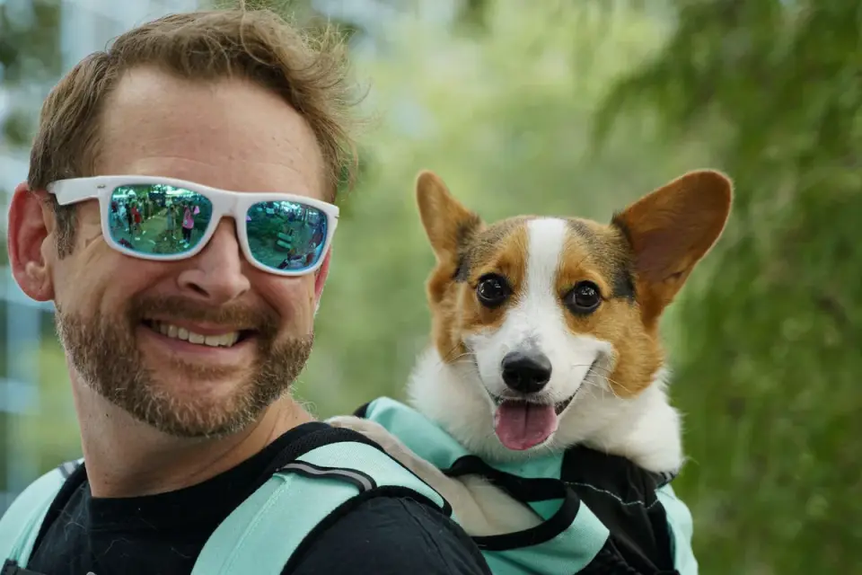 Dog in a carrier