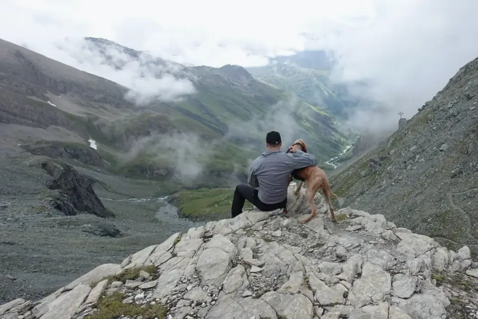 Dog on a mountain trail