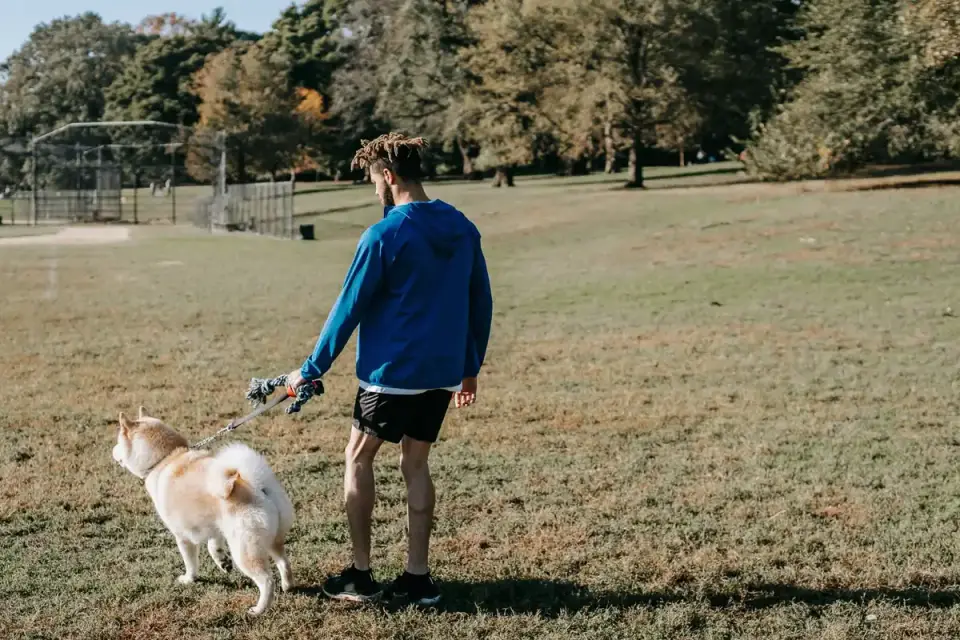 Dog on a short leash walking along a gravel campground road