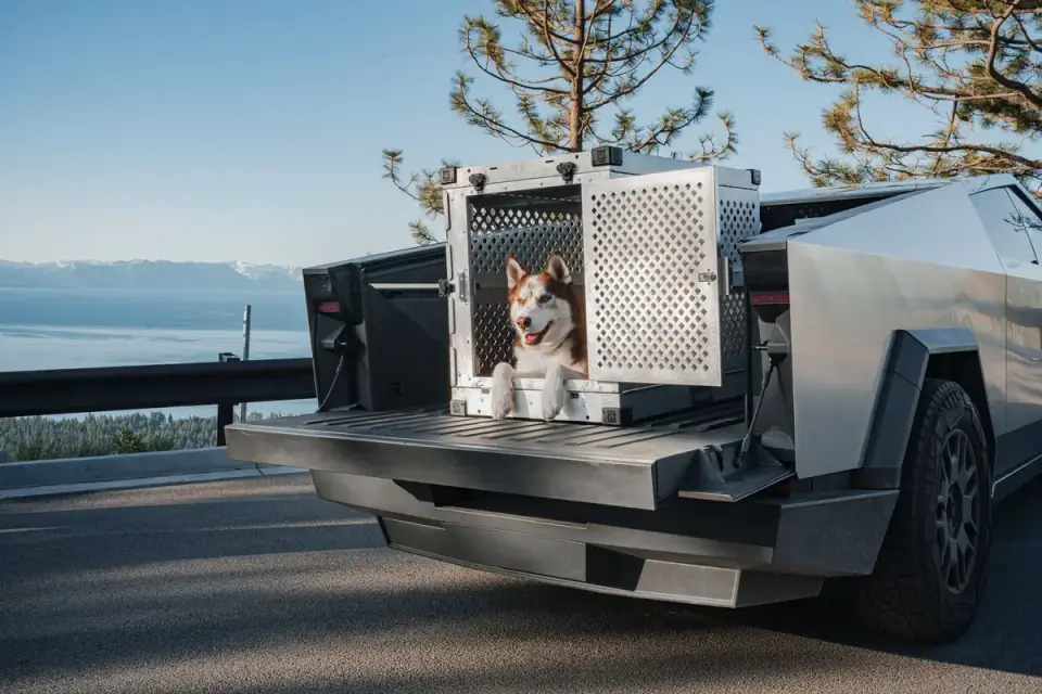 Dog resting calmly inside an open crate in the back of a car during a travel stop