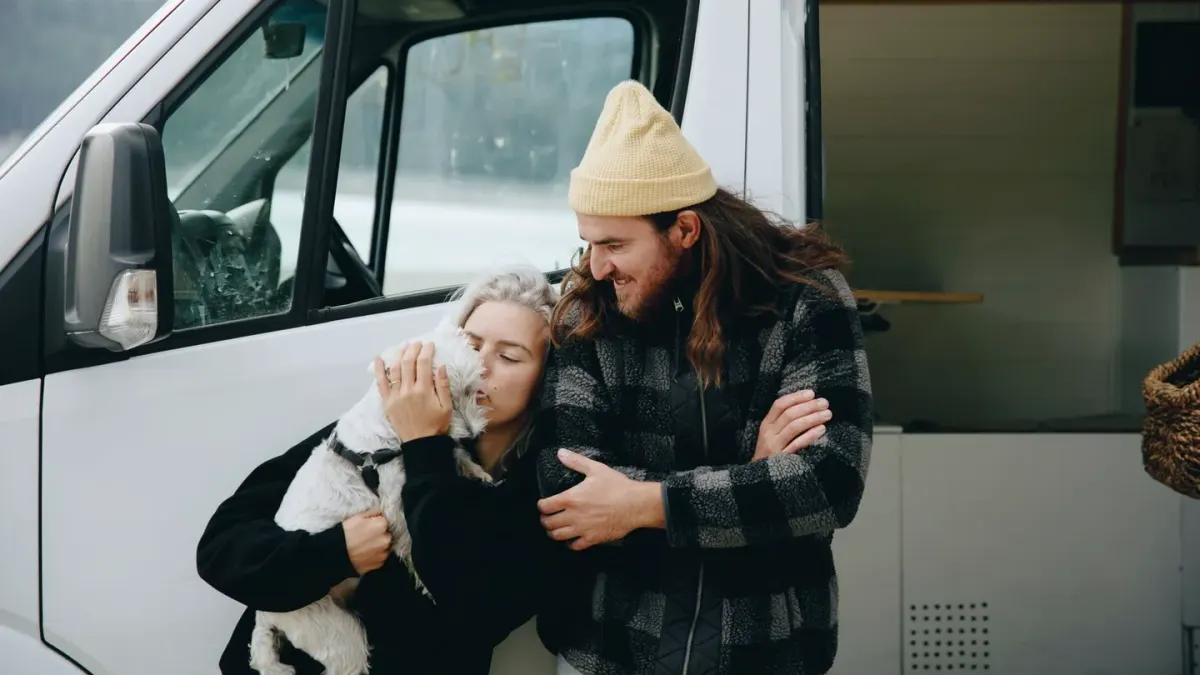 Dog resting in a van