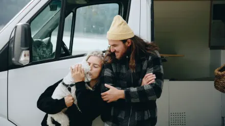 Dog resting in a van