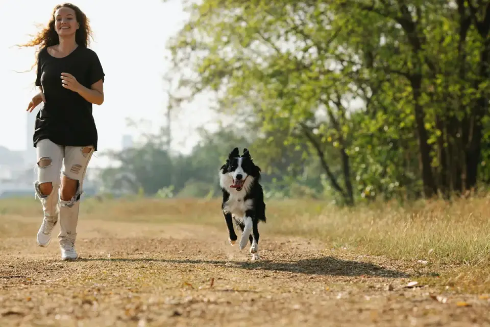 Dog running on a beach