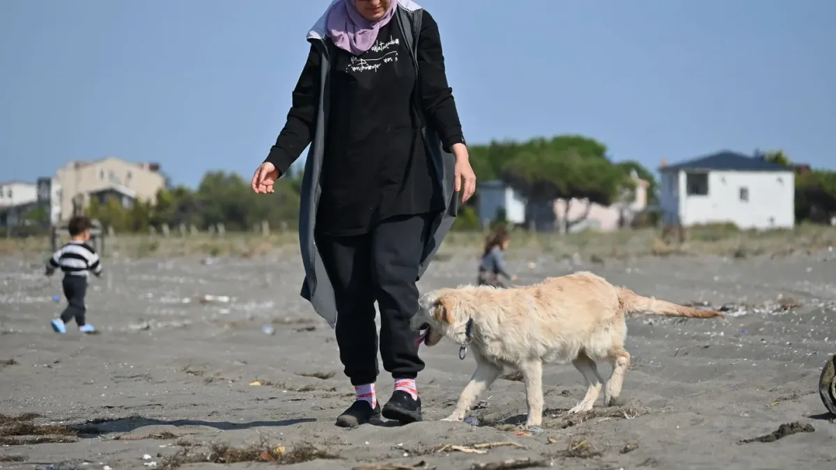 Dog running on a beach