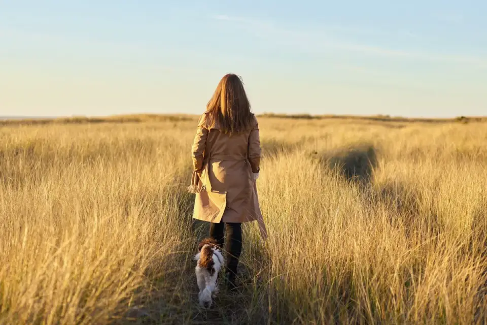 Dog walking coastal path