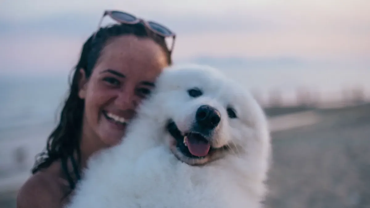 Dog walking on a beach