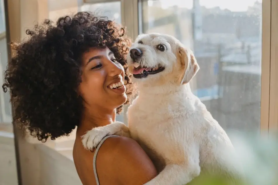 Dog with an owner at home