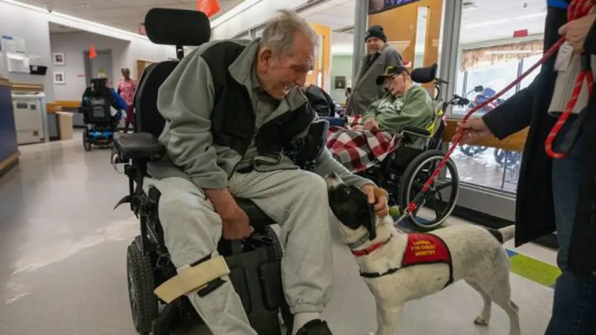 Dog with an owner at home