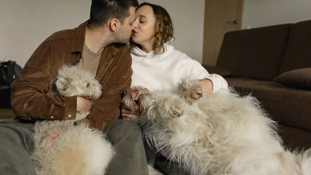 Dog with an owner at home
