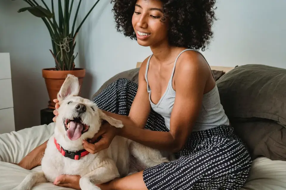 Dog with an owner at home