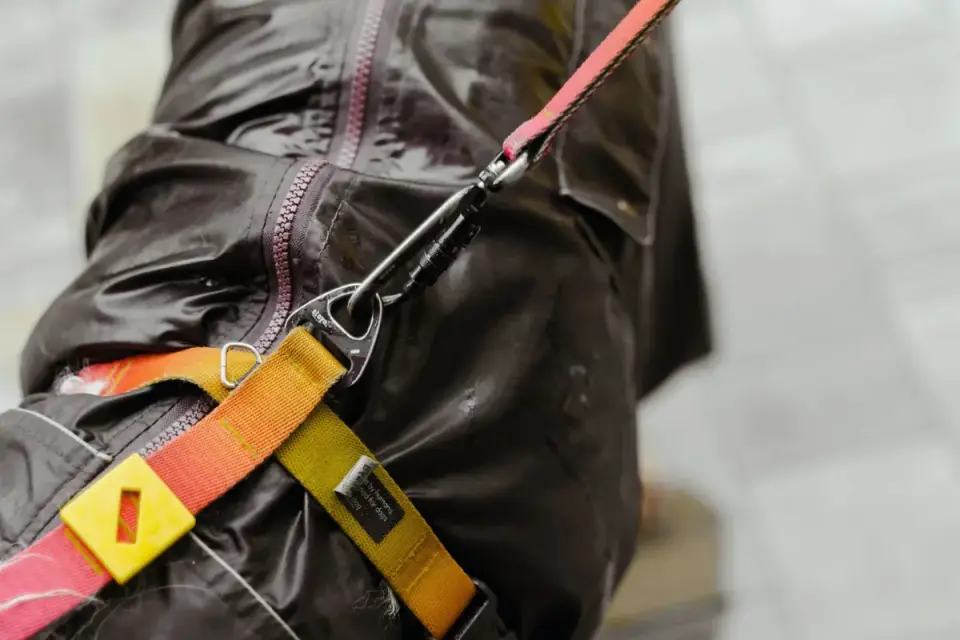 Mixed-breed dog wearing a gray crash-tested harness, secured to the back seat via seat belt attachment