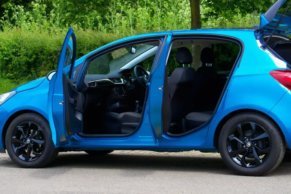 Puppy sitting at the open door of a parked car on a driveway