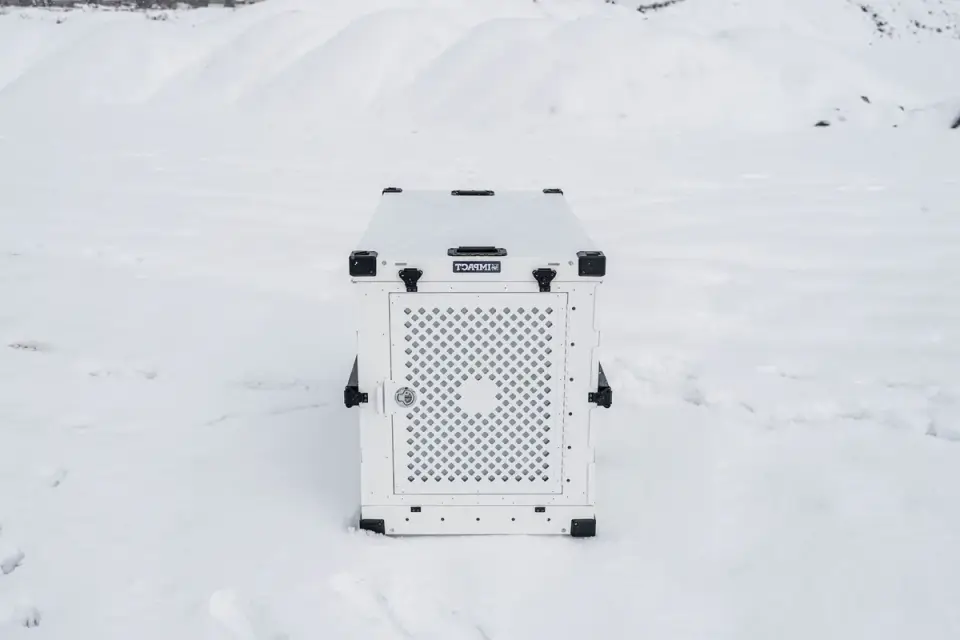 Rigid dog crate secured with tie-down straps in a car's cargo area