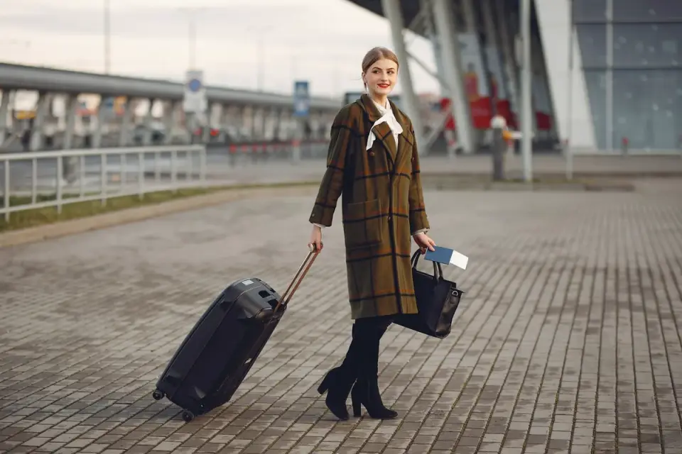 Travel documents and a pet passport next to a dog on a leash