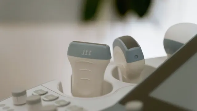 Veterinarian scanning a dog's shoulder blades with a handheld microchip reader